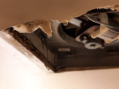 Professional emergency water damage services services in Tempe